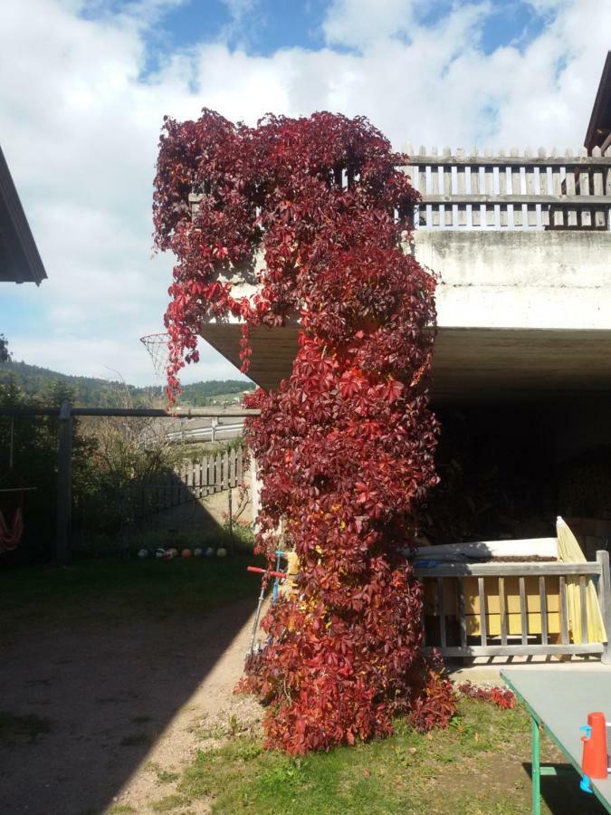 Villa Pitterle Hof Meltina Exterior foto